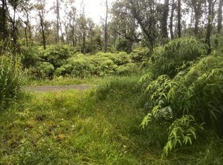 Apuakehau Rd, Volcano, HI 96785