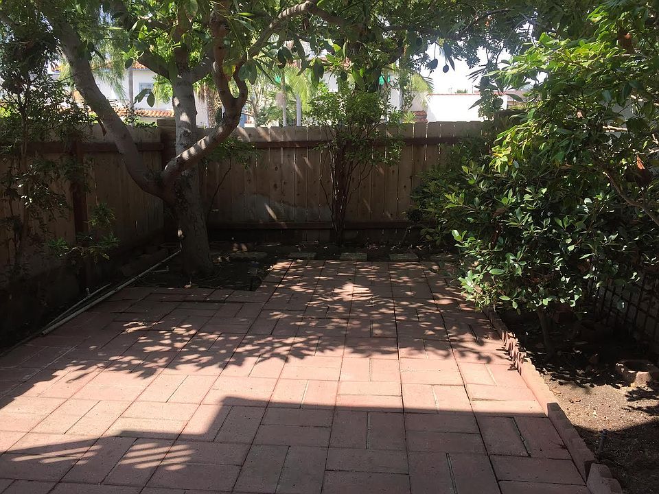 Front courtyard shaded by avocado tree