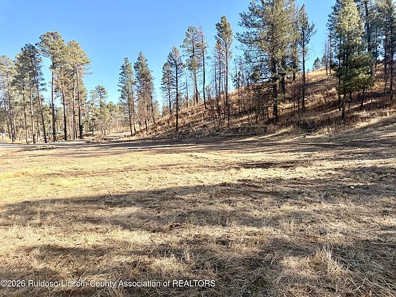 5th image of 103 Alpine Village Rd