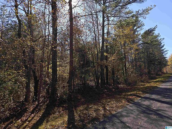 5th image of 0 Us Highway 231 #1