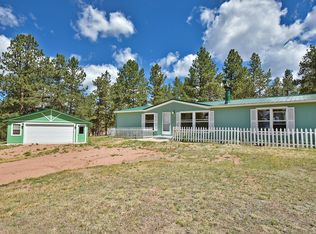 276 Manchester Dr, Florissant, CO 80816