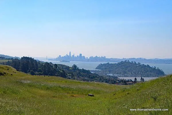 82 Claire Way — Photo 5