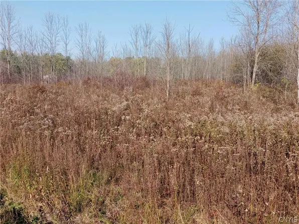 (undisclosed Address), Hastings, NY 13076