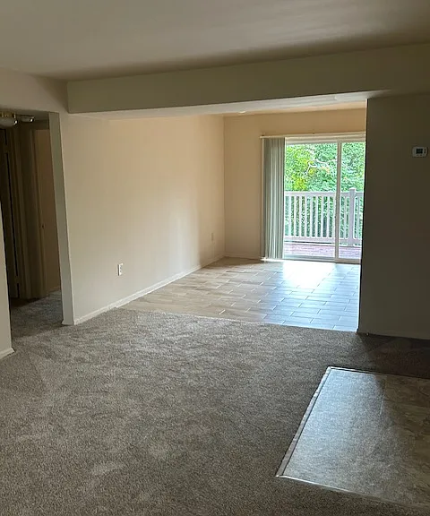 Southern Terrace — Photo 8
