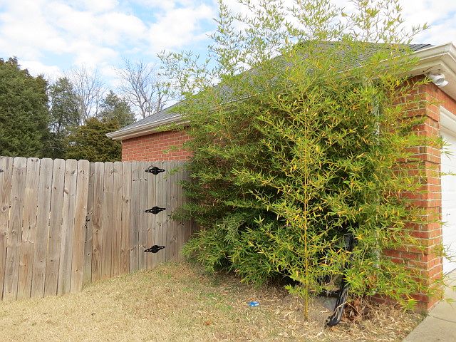 2nd image of 6039 Nautical St