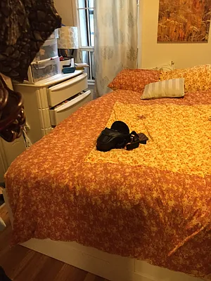 Rented by Provident Management Corp. | media 23