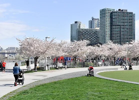 Rented by Owner | media 17