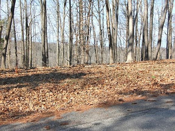 4th image of LOT-41R Runaway Dr
