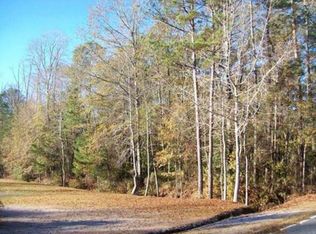 116 Mount Elon Church Rd, Hopkins, SC 29061