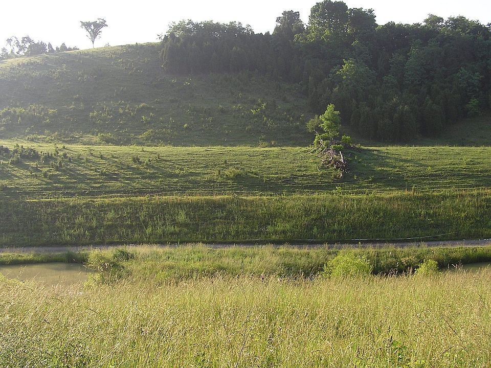 2nd image of 505 McMillan Rd