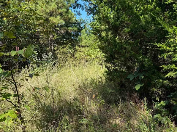 1213 Ridge Cir, Horseshoe Bend, AR 72512