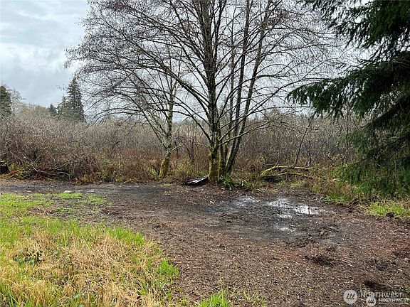 4th image of 0 X Willapa Road