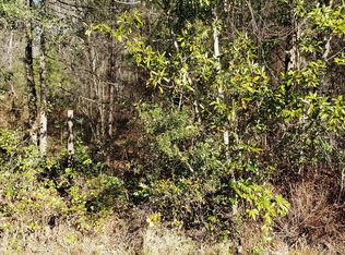 4264 Angora St, Middleburg, FL 32068