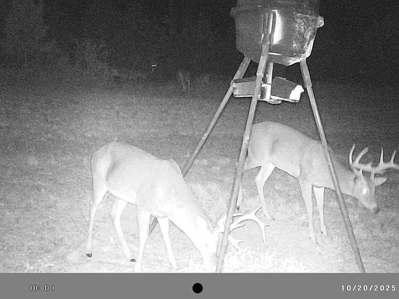 2nd image of 1 Pleasant Rdg