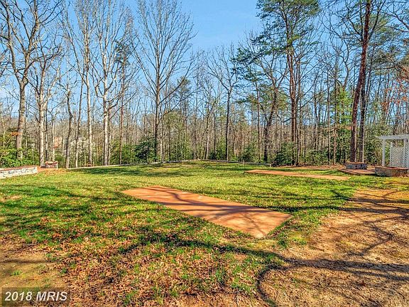 wooded rear yard
