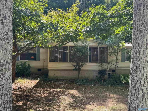 408 Lebanon Rd SW, Fort Payne, AL 35967