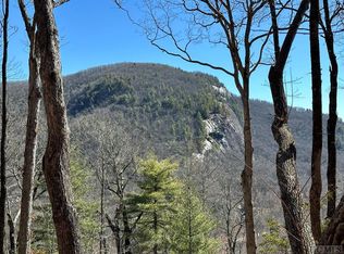 155 Lonesome Valley Rd, Sapphire, NC 28774