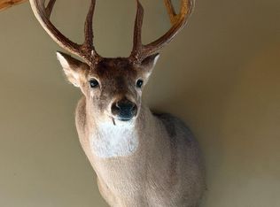 Jewell Hollow Rd, Luray, VA 22835
