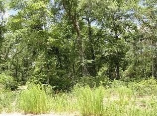 14 Double Creek Ct, Willis, TX 77378
