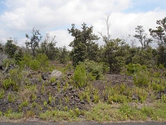 2nd image of Catamaran Ln Lot 27