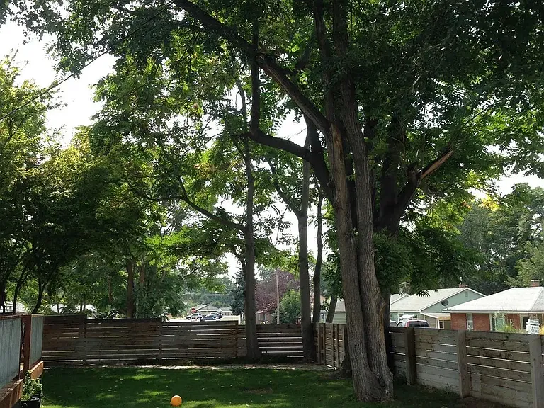247 Young Ave — Photo 16