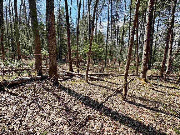 2nd image of 3826 Leighton Hill Road