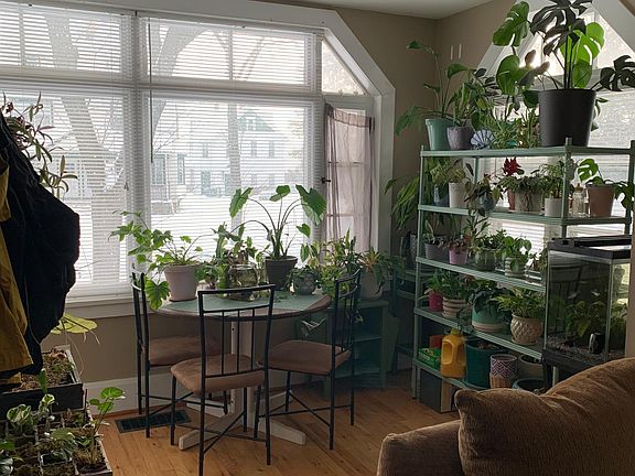 View to front from Kitchen/Living