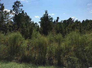 525 N Old Georgetown Rd, Lake City, SC 29560