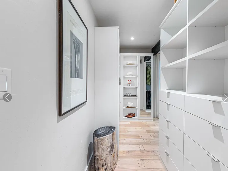 Primary Closet