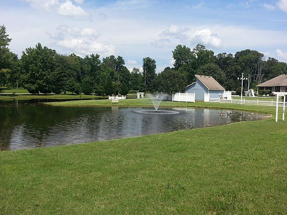 Stocked Pond with High-IN fo
