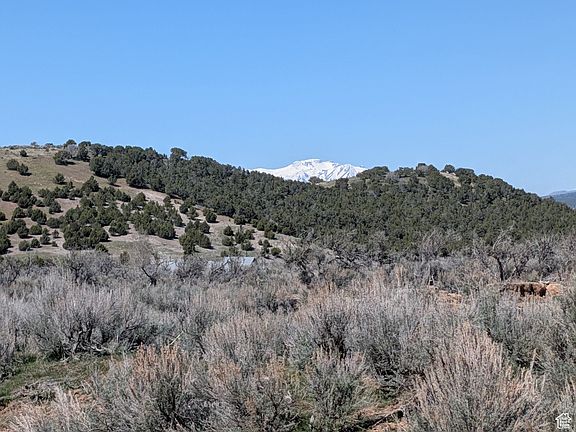 5th image of 11799 N Cove Creek Rd