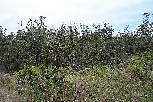 2nd image of LOT 13 Lot 13