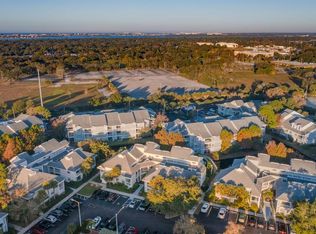 6915 Stones Throw Cir N #3203, Saint Petersburg, FL 33710