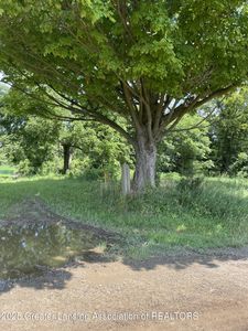 1950 Bolock Hwy, Charlotte, MI, 48813