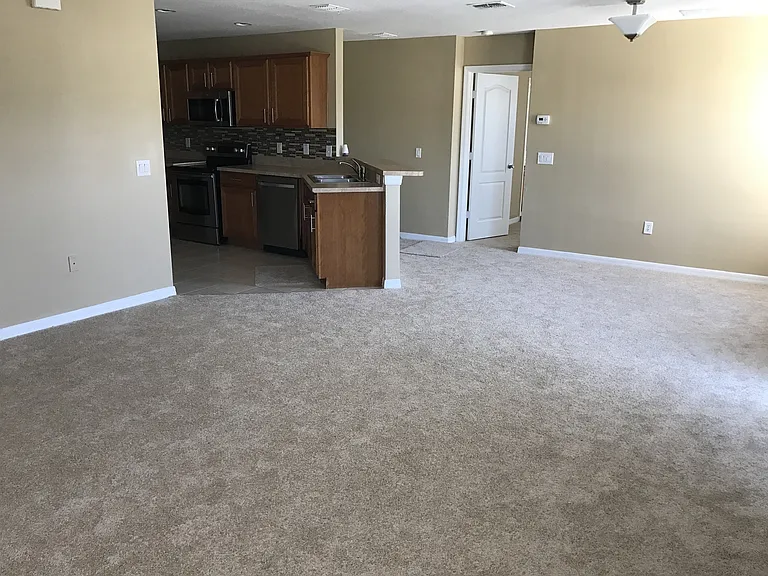 4020 Pemberly Pines Cir — Photo 11