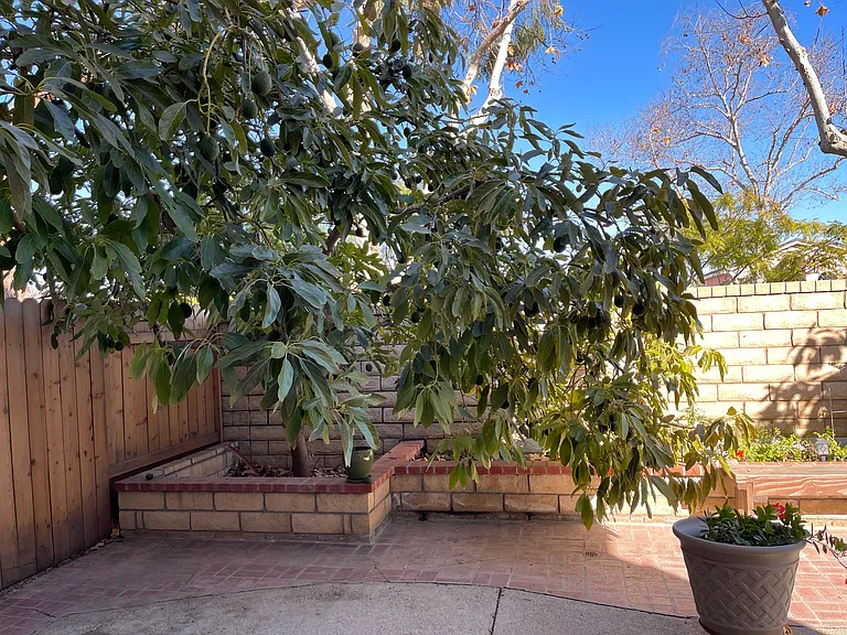 5383 Paseo Ricoso — Photo 21