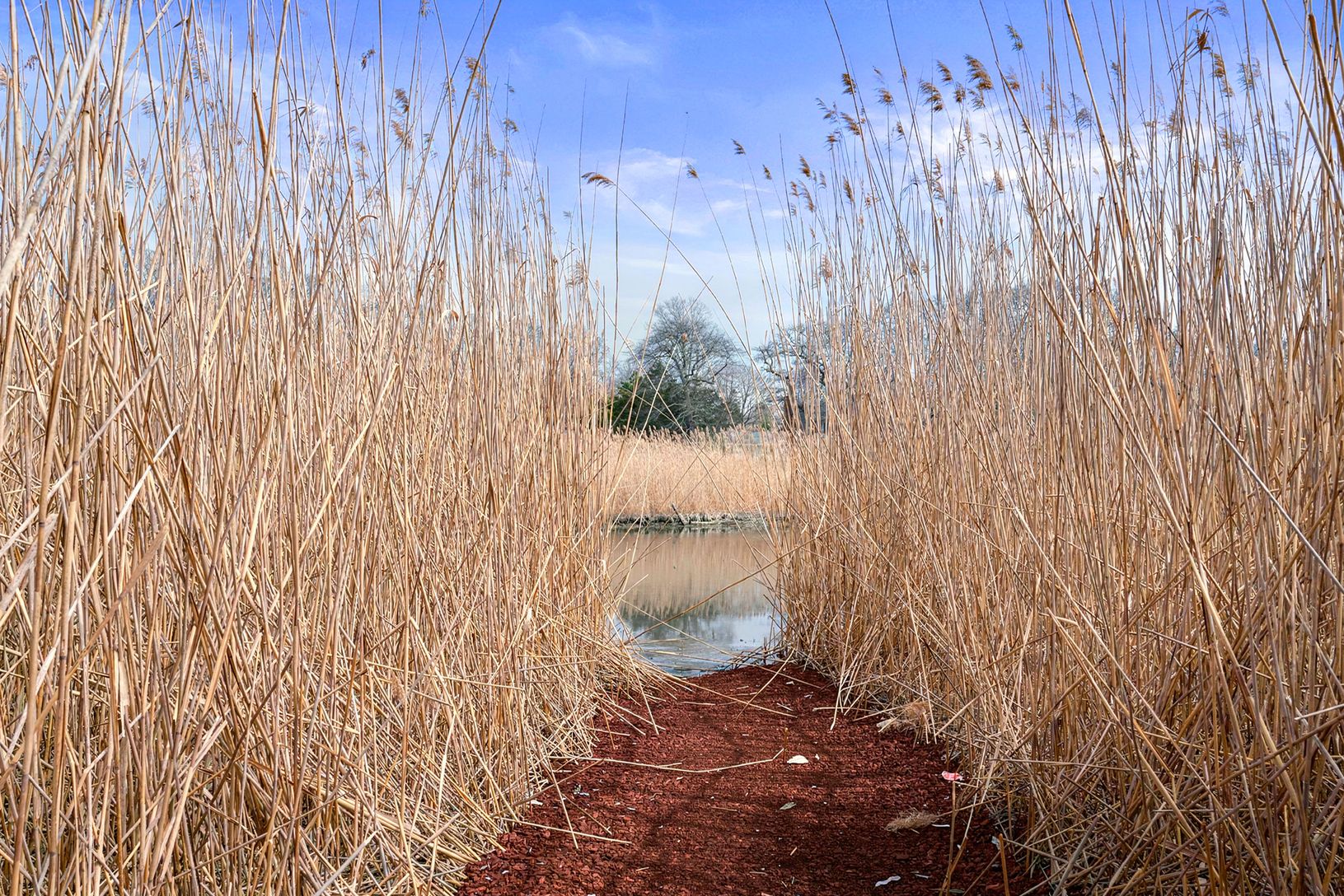  Your waterfront access to the Open Bay