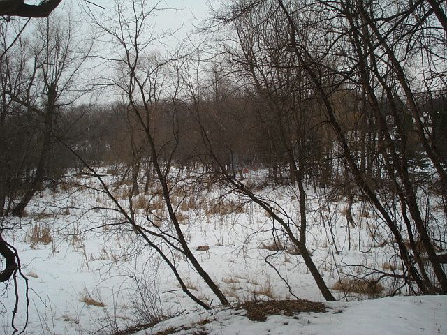 Nature Preserve View