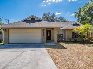 11748 Lynn Brook Cir, Seffner, FL 33584