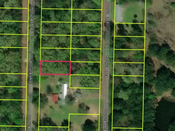 526 Eagle Bluff Loop Lot 526, Avinger, TX 75630
