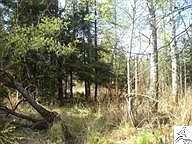 1st image of XXX Carol Ln