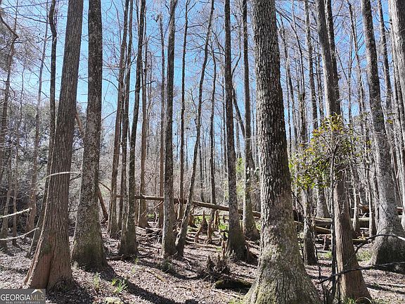 4th image of 2430 Big Oak Rd