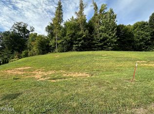 5 Momma Lou Ct, Jonesborough, TN 37659