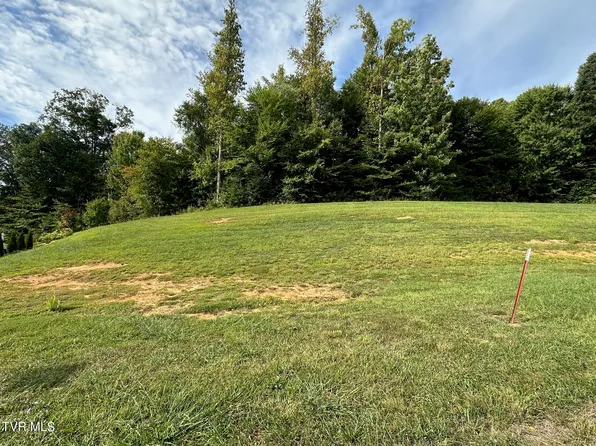 5 Momma Lou Ct, Jonesborough, TN 37659