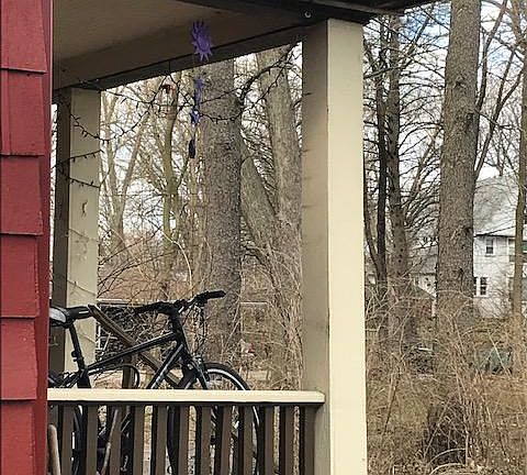 2nd image of 804 S Race St #1