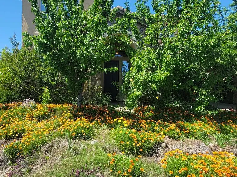 Native Californian plants make for low-maintenance, low-water needs, and beautiful flowers year round