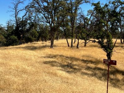 Dead Cow Creek Rd, Red Bluff, CA, 96080