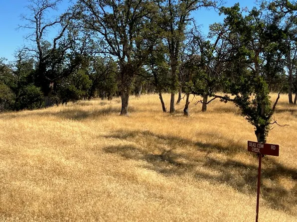 Dead Cow Creek Rd, Red Bluff, CA 96080