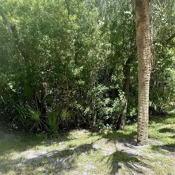 16322 Parkstone Palms Ct — Photo 2