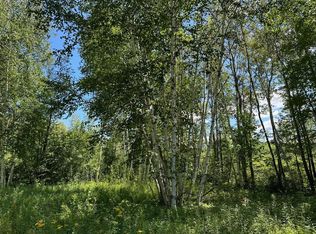 Tbd Nokay Hall Rd, Brainerd, MN 56401